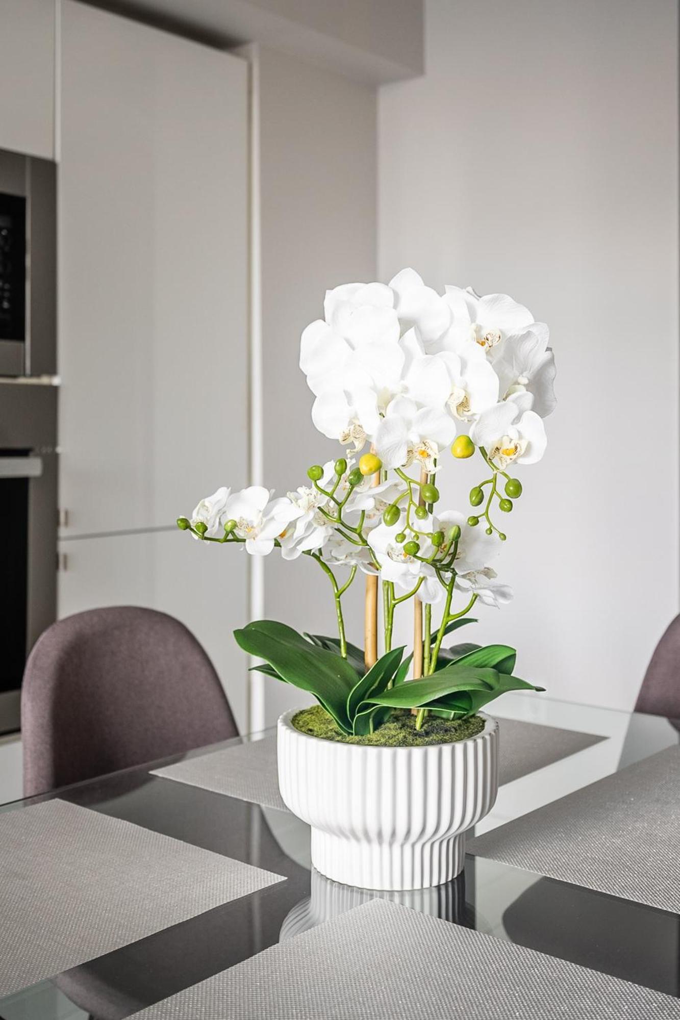 Globalstay Fabulous Toronto Condo 외부 사진